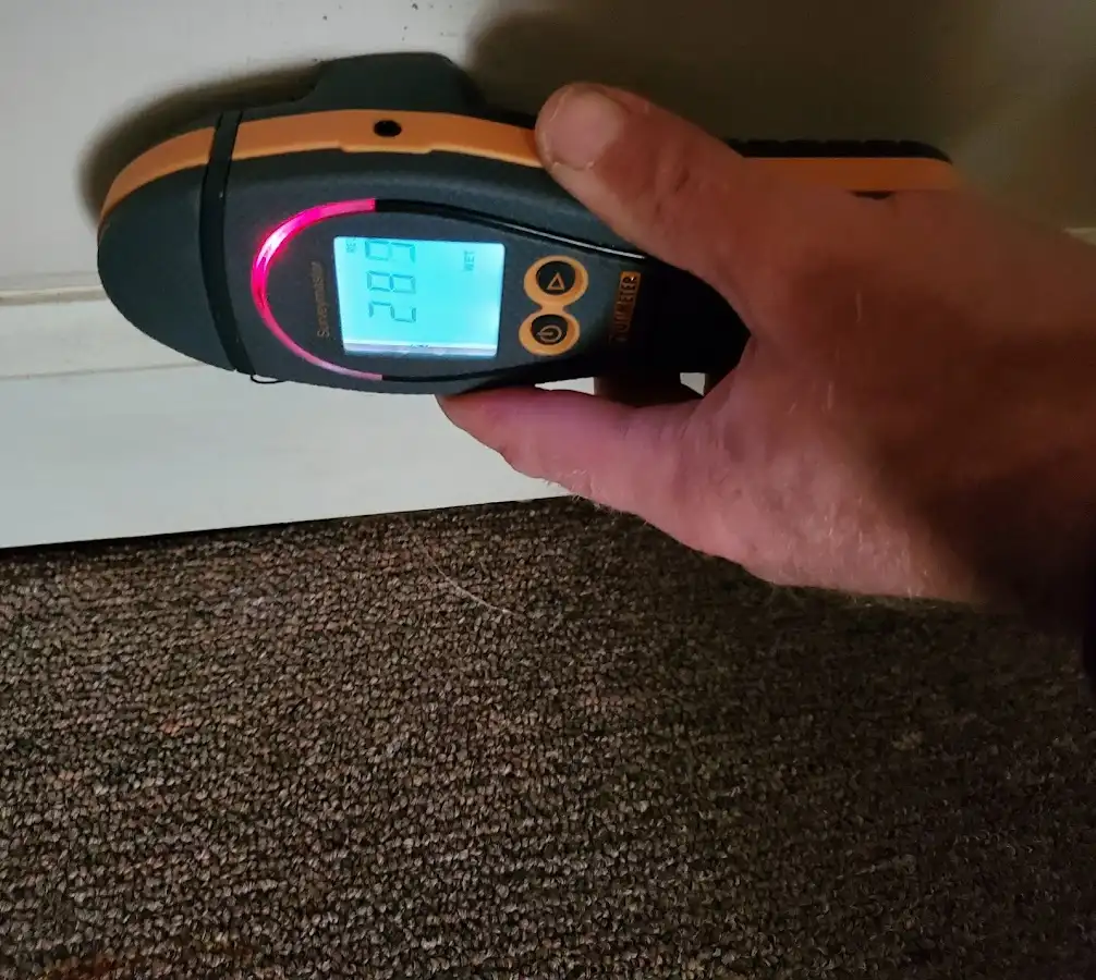 Moisture detection at baseboard during Sewage Cleanup & Sanitation in Overland